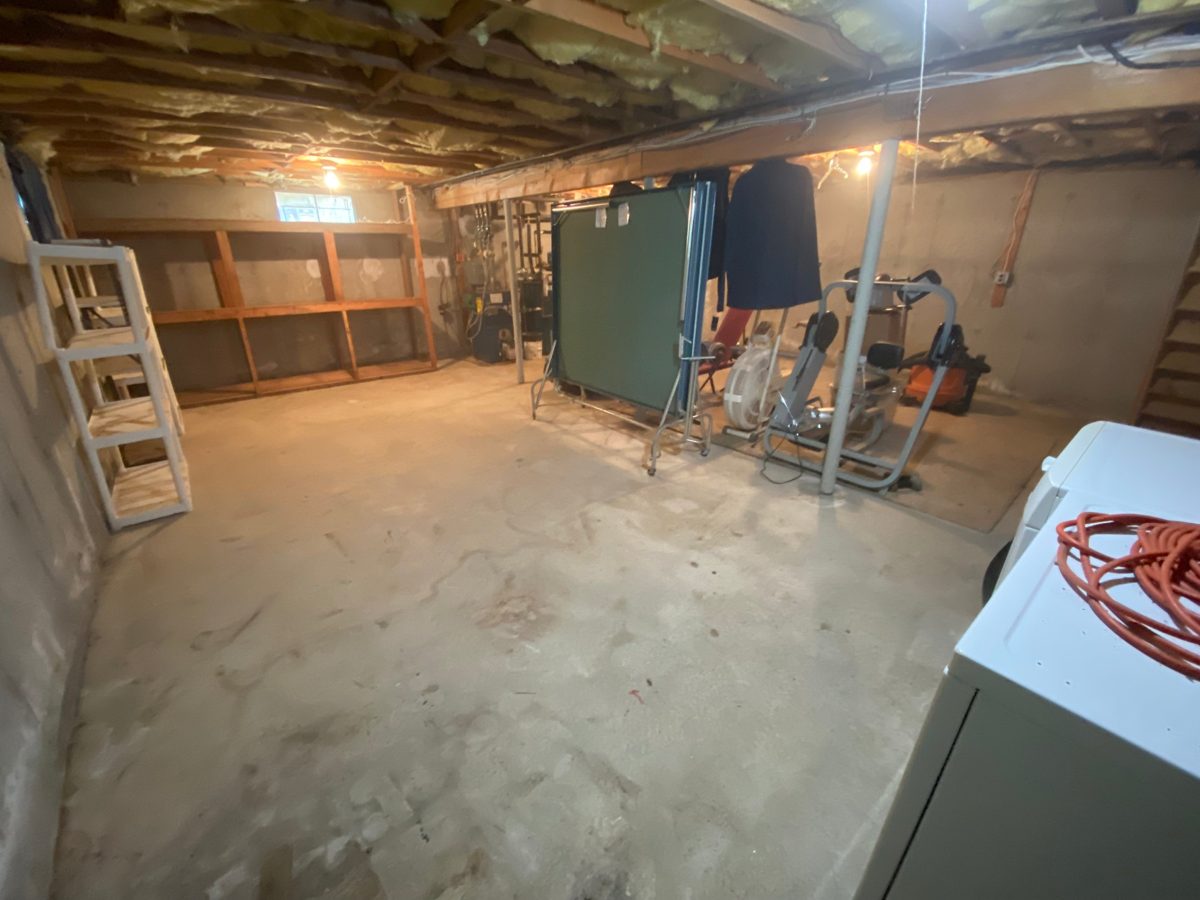 Wide view of the same basement with the floor cleared and shelving empty after the cleanout