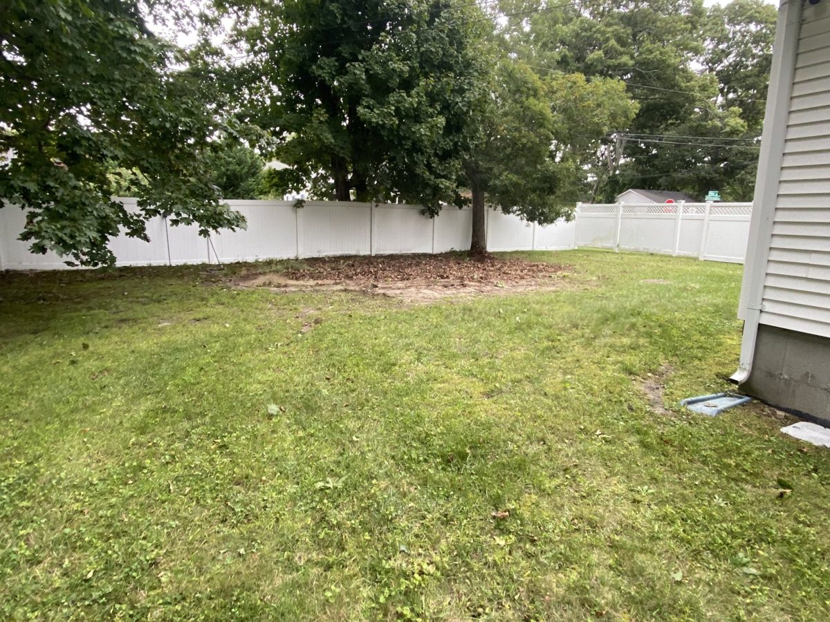 Backyard lawn and fence with the pool completely removed