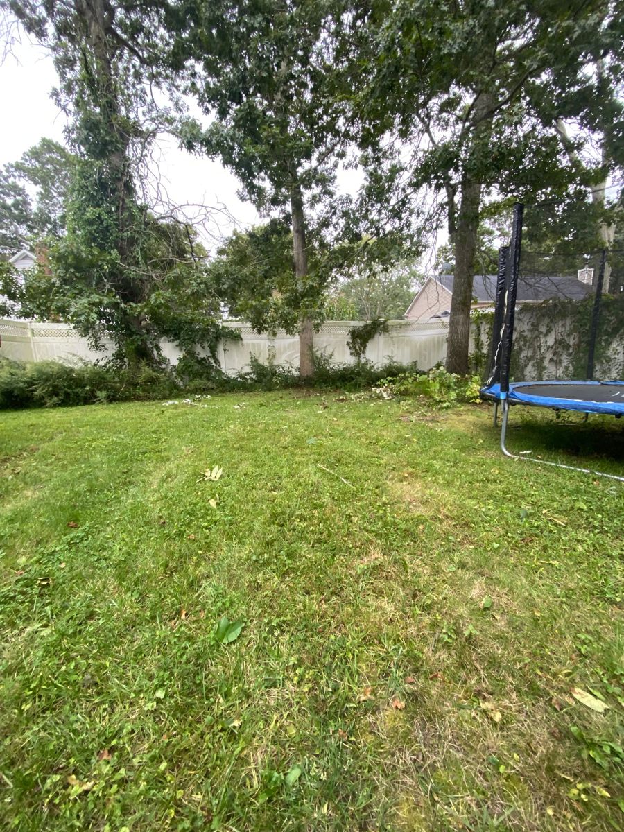 Backyard lawn clear after the swing set was removed